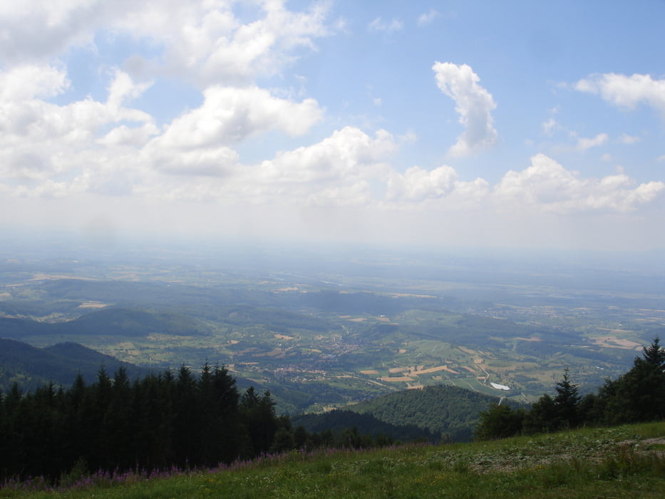 Hochblauen Standard