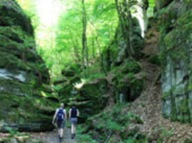 Beaufort-Berdorf-Mullerthal-Beaufort 22km 500hm