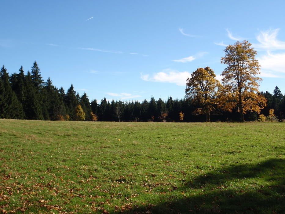 Mühlgrabenrunde