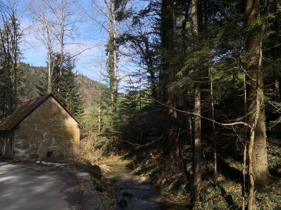 durch die Kohler Graben