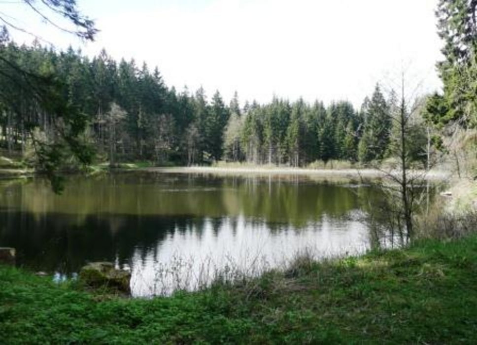 von Eisfelder Talmühle nach Ilfeld