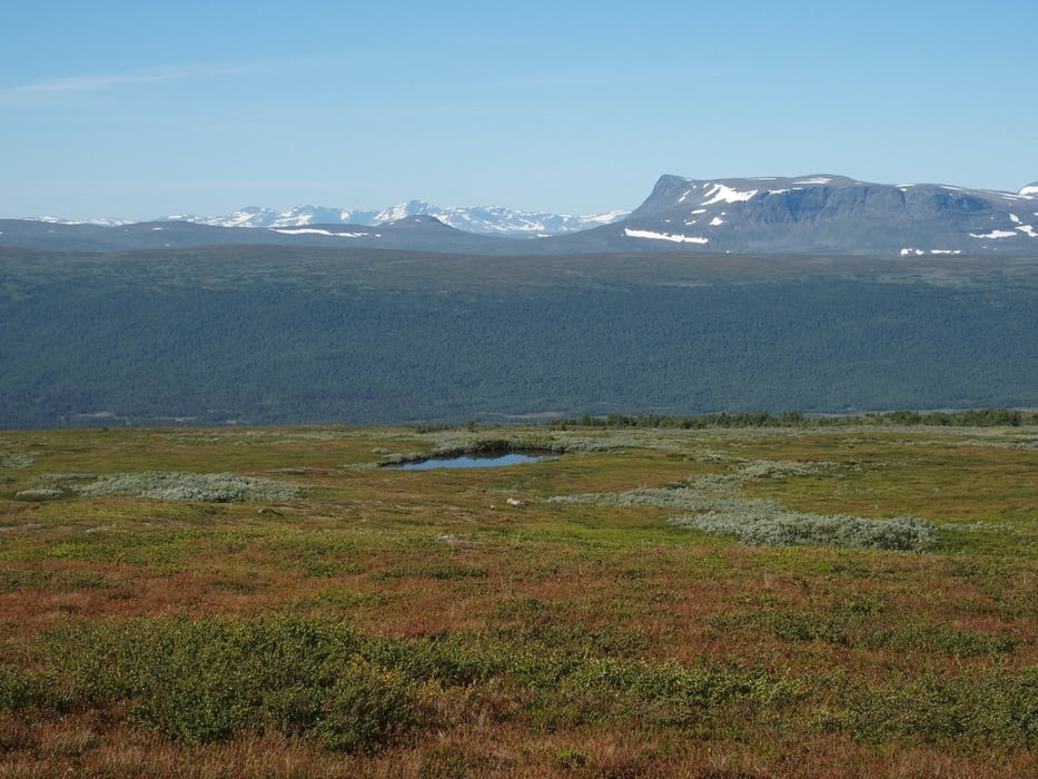 Kungsleden Kvikkjokk-Hemavan: Etappe #10: Björkfjället - Ammarnäs