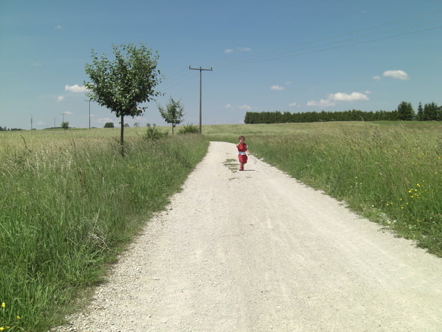 Pferdehofweg am Rothsee (Mittelfranken)