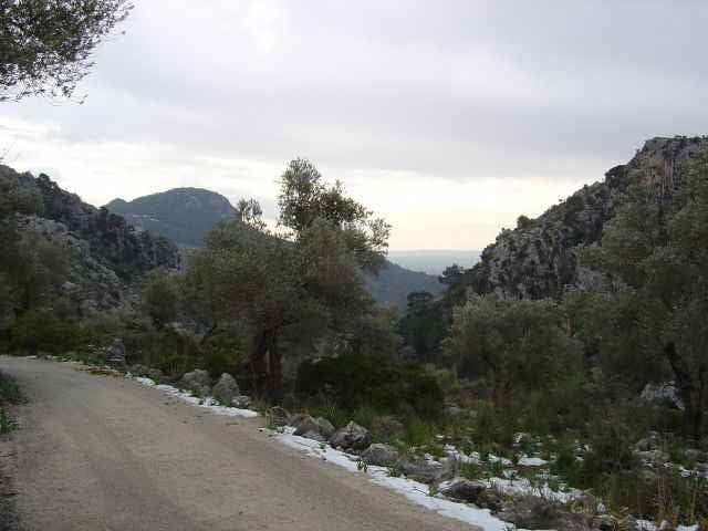 Mallorcarunde 4. Etappe