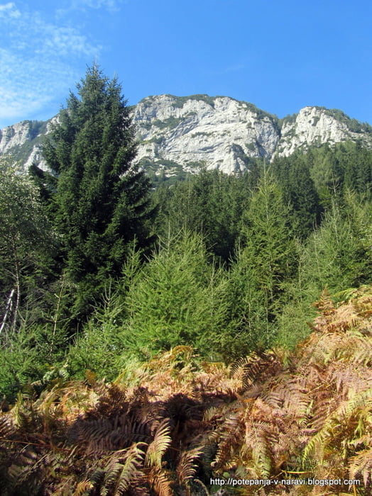 Pristovški Storžič (Kärntner Storschitz)