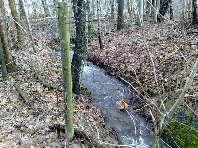Reitlingstal (Elm)