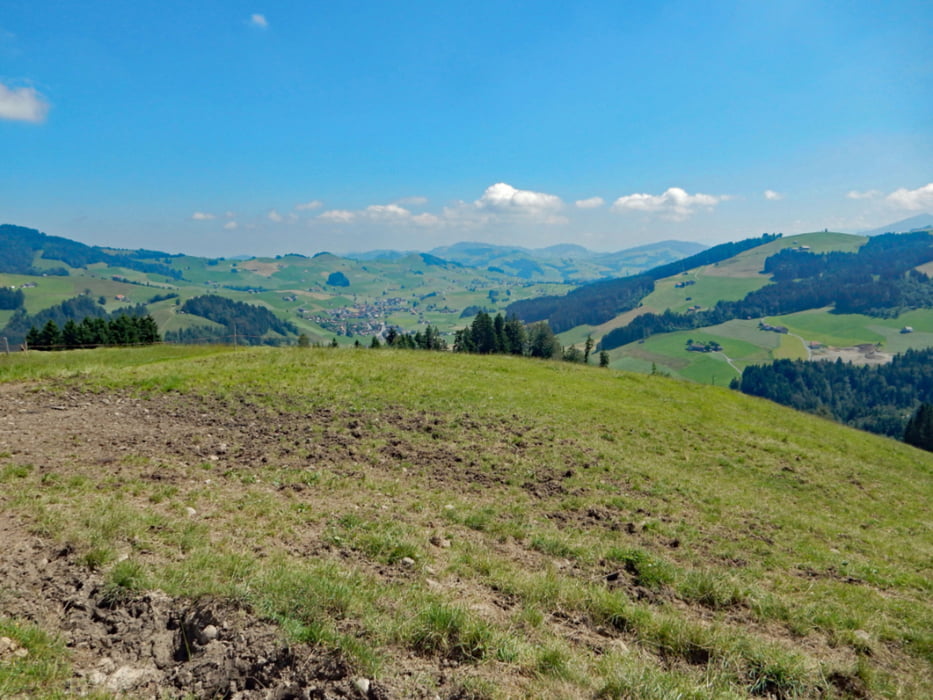 Rund um den Kronberg