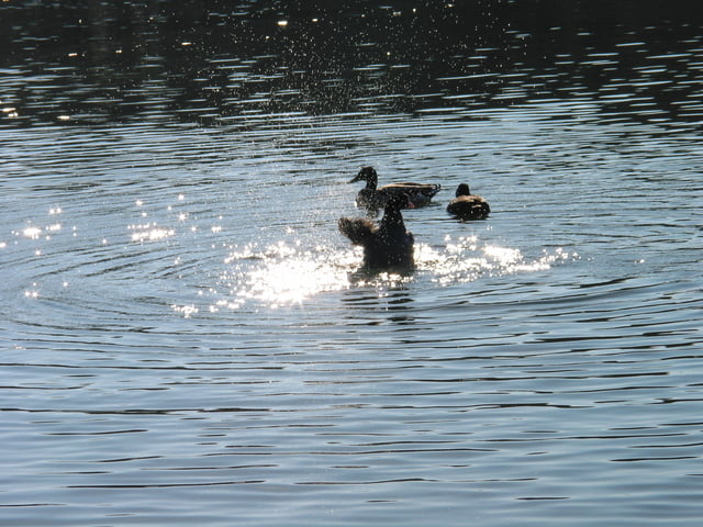 Von Emmering zum Wörthsee