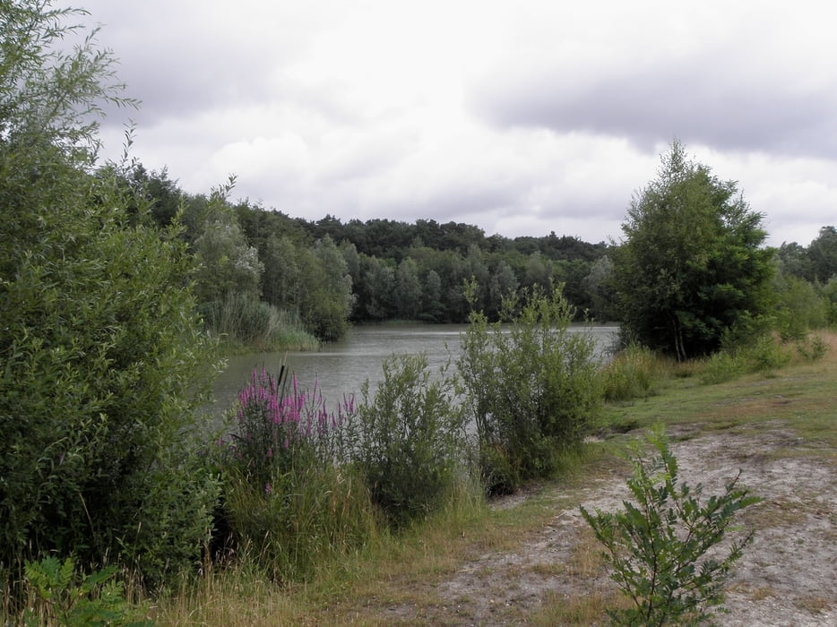 Rondwandeling Venlo