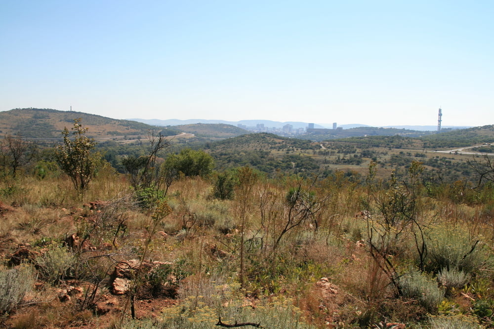 Groenkloof