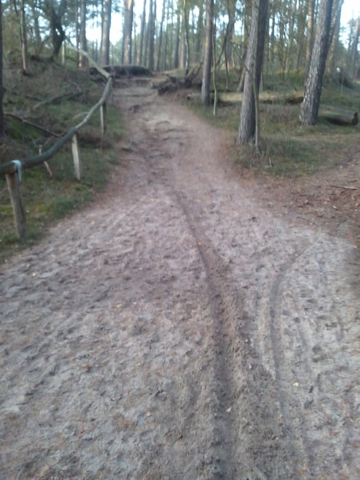 Kleine Feierabendrunde durch die Moosheide bei Hövlehof