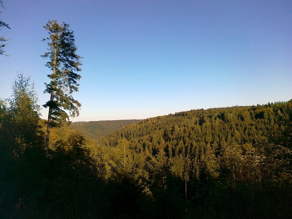 Zum Hirsch nach Maisenbach