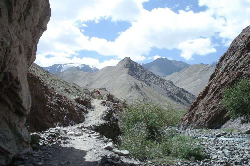 Markha Valley #1