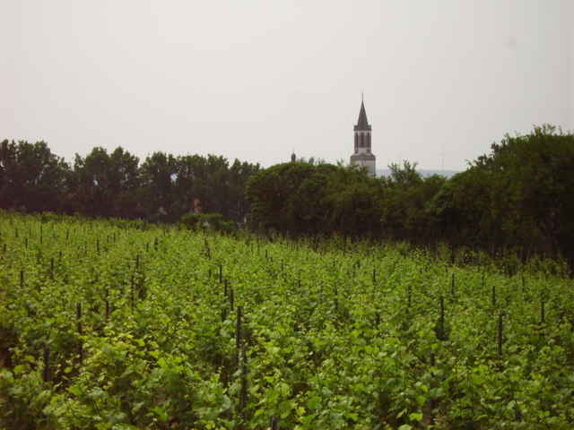 Landschaftstour am Ballungszentrum