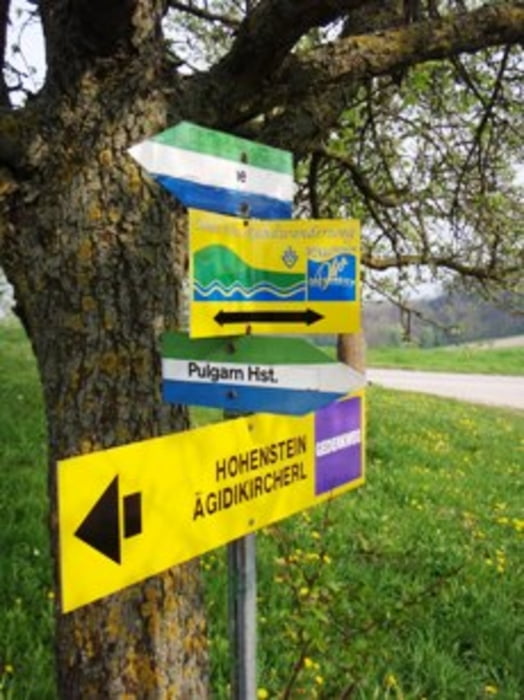 Pfenninberg 4