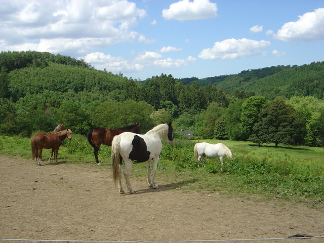 Auf die Höhe nach Wermelskirchen u. im Tal der Wupper zurück