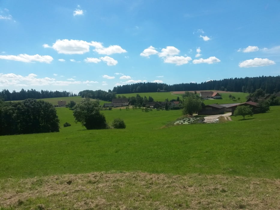 Vom Schönbuch an den Rhein