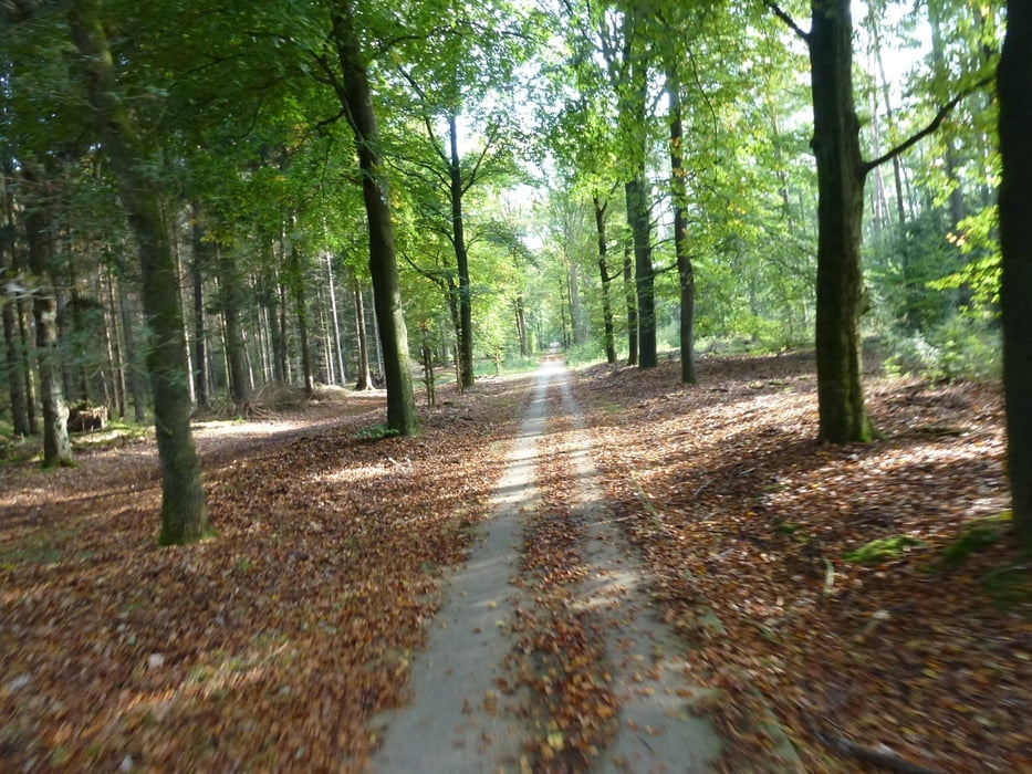 Fietsronde Epe - Heerde - Oenen