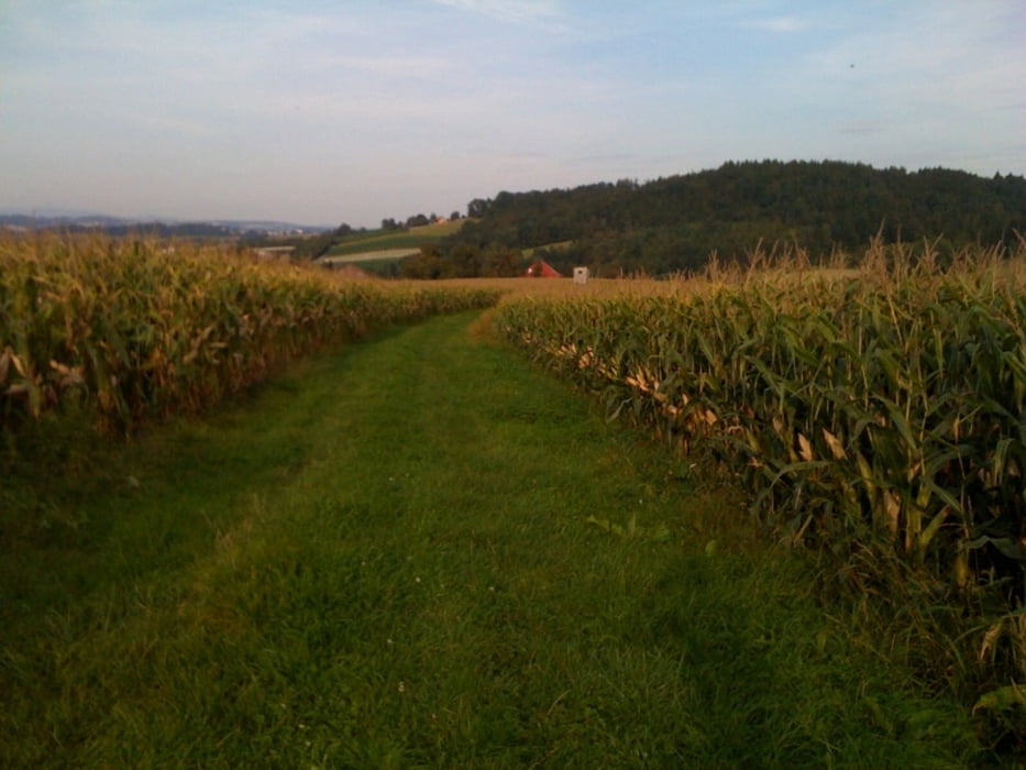 Abendrunde Wels Variante 2