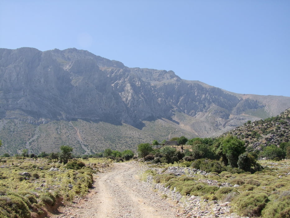 Dikti
