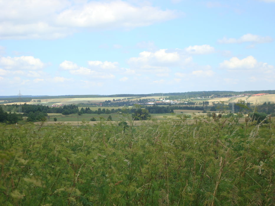 Runde Rotacker (Hasselfelde) Stiege