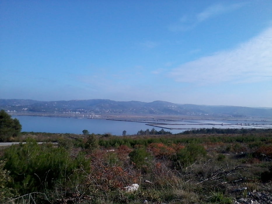 Zambratija - Buje