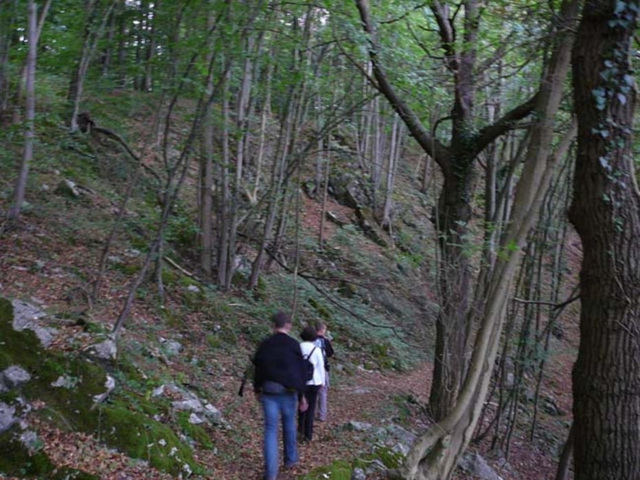 Wallonie-Wanderung ab Aywaille