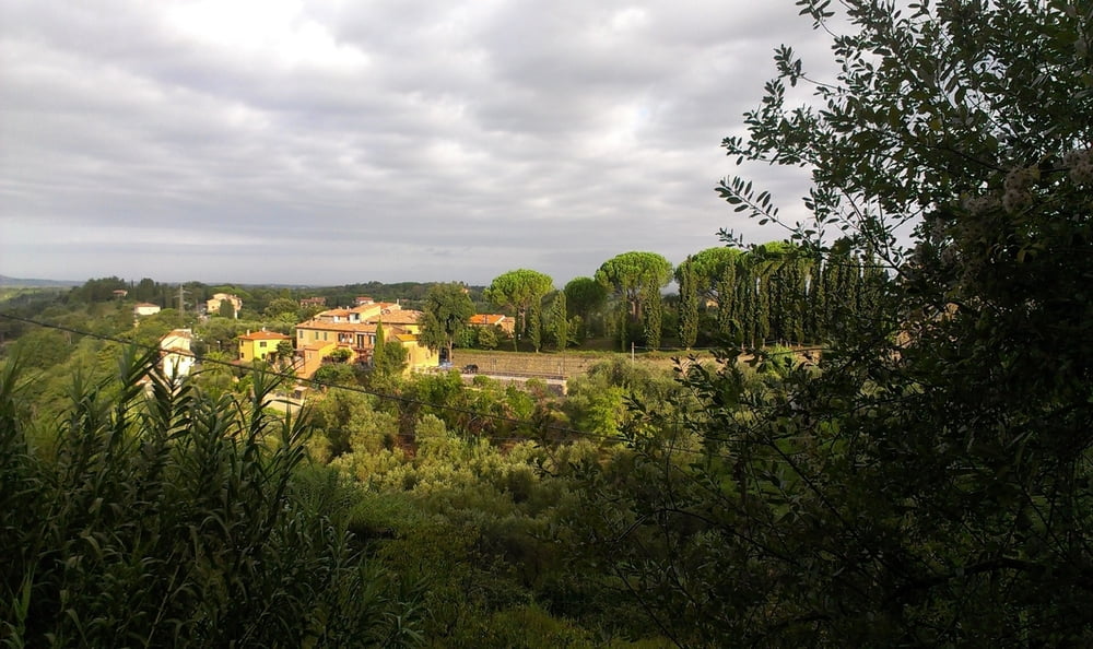 Fauglia-Casciana Terme Rundtour