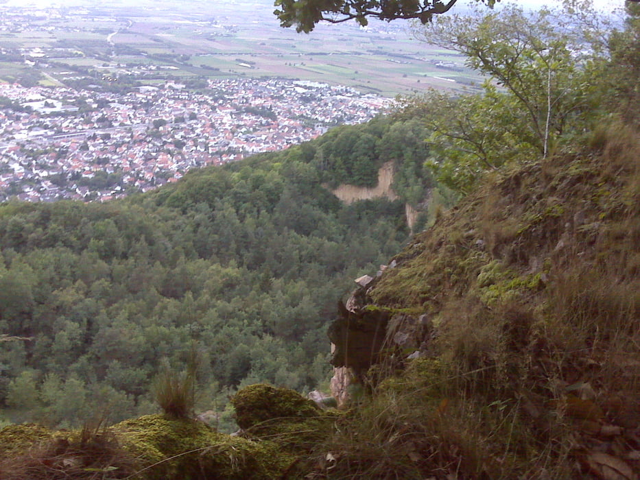 Heidelberg: Feierabendrunde 1 (Weisser Stein - Schriesheim - Dossenheim - Heidelberg)