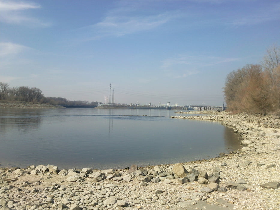 DONAUINSEL