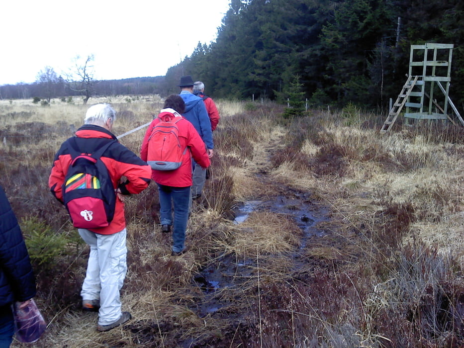 Karnevalswanderung 2014
