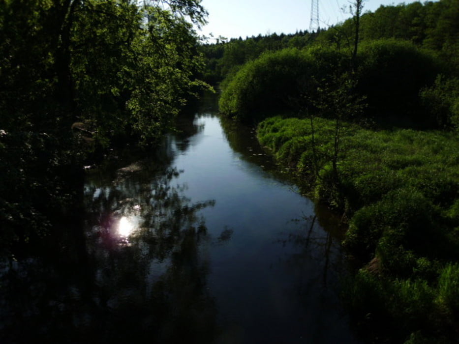 Rund um Sachsenwald