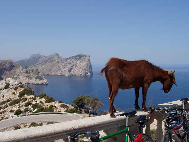 Cap Formentor