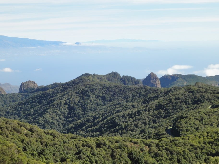 Garajonay-Paredes II