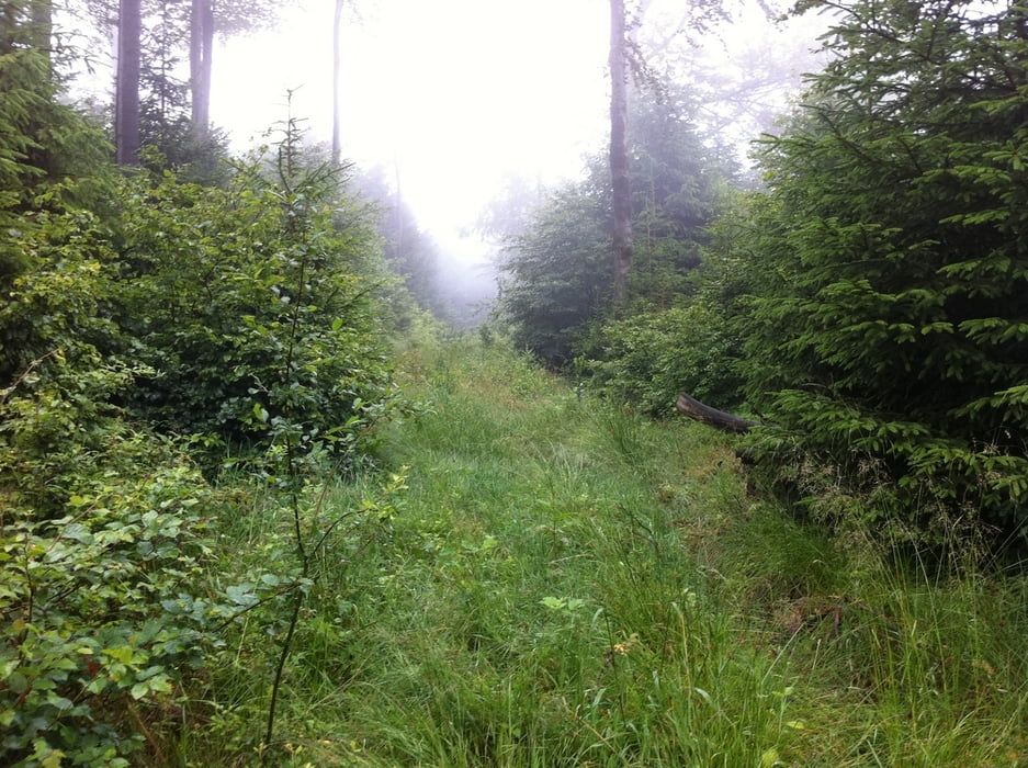 zum roten see & dem waldschlösschen