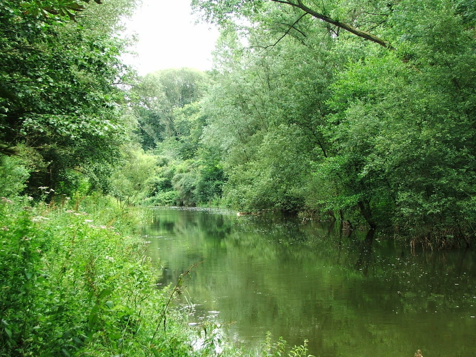 Ruhrgebiet: Hohe Mark (4)/ Halterner Stausee