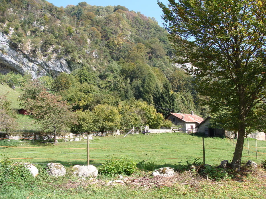 Malga Grassi