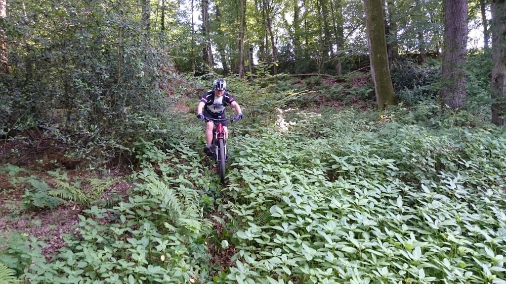 Naafbach- und Aggertal Tour