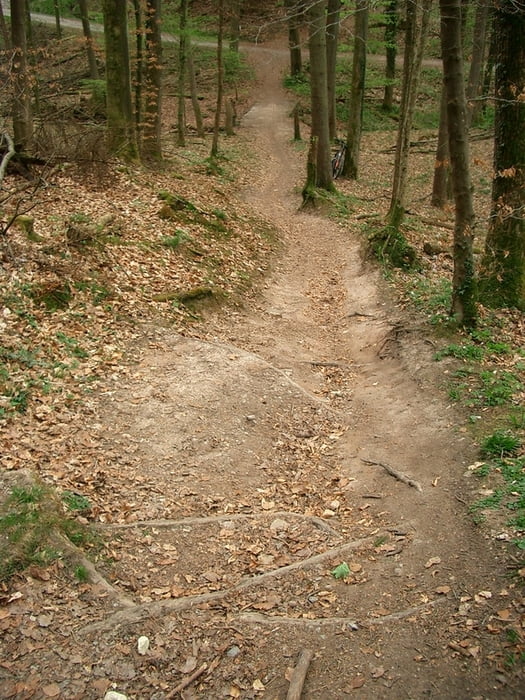 Schurwald/Jägerhaus Quattro Trail Runde