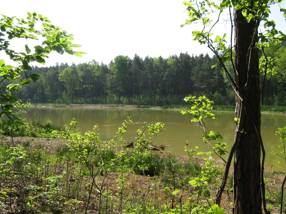 Der Hormesweiher