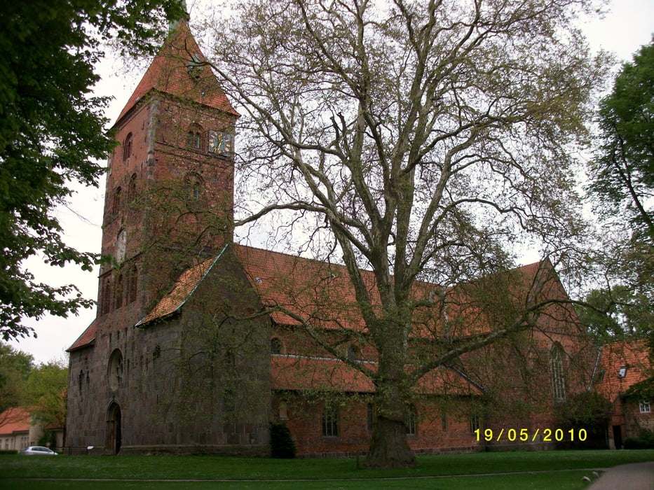 Widukinds Stadt: Wildeshausen