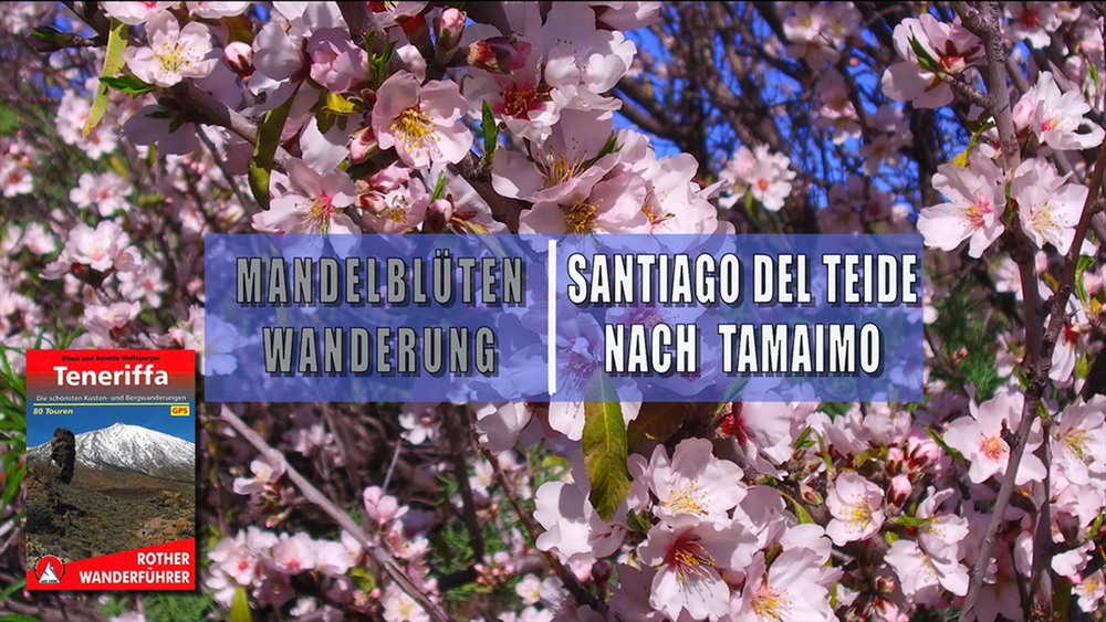 Von Santiago del Teide nach Tamaimo