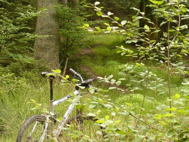 overtrail