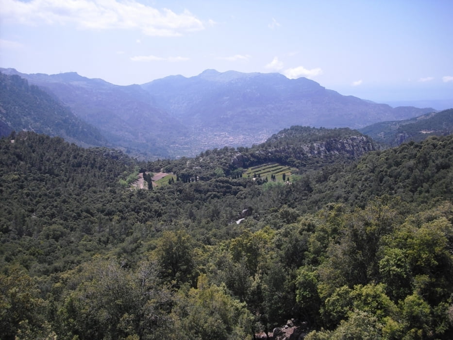 Can Picafort- Soller- Puig Major- Pollenca- Can Picafort