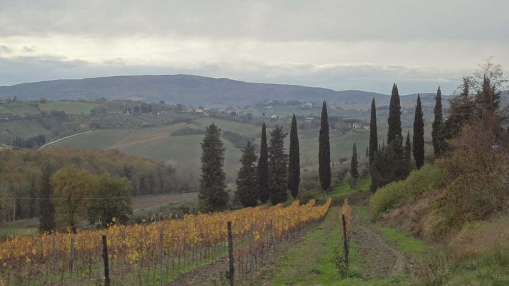 Trans Toskana Trail 2015 November