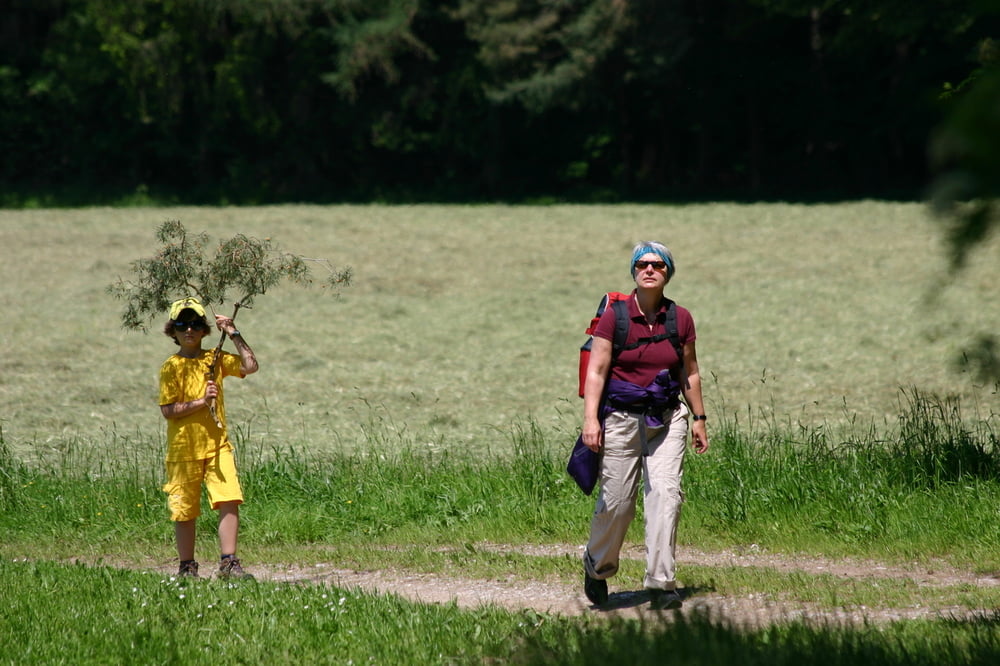 Zum alten Burgstall bei Heimenegg Wanderserie Augsburger Allgemeine Mindelheimer Zeitung Mittelschwäbische Nachrichten Raum Mindelheim
