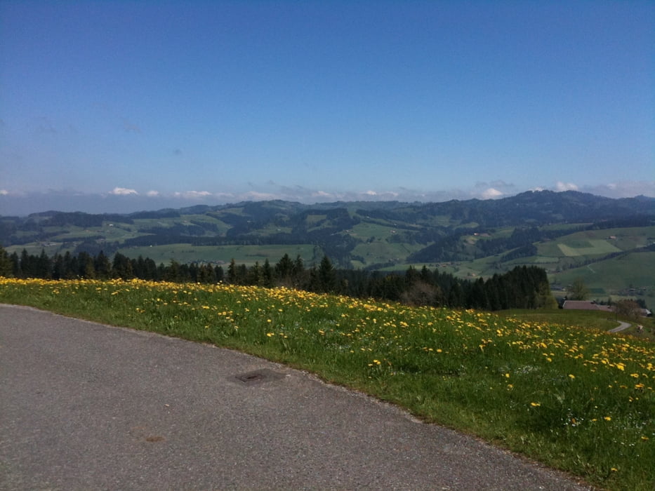 Blappach-Rämisgummen-Pfyffer