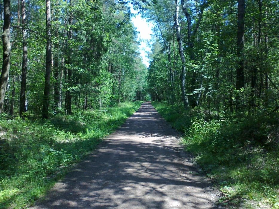 Pojezierze Palowickie
