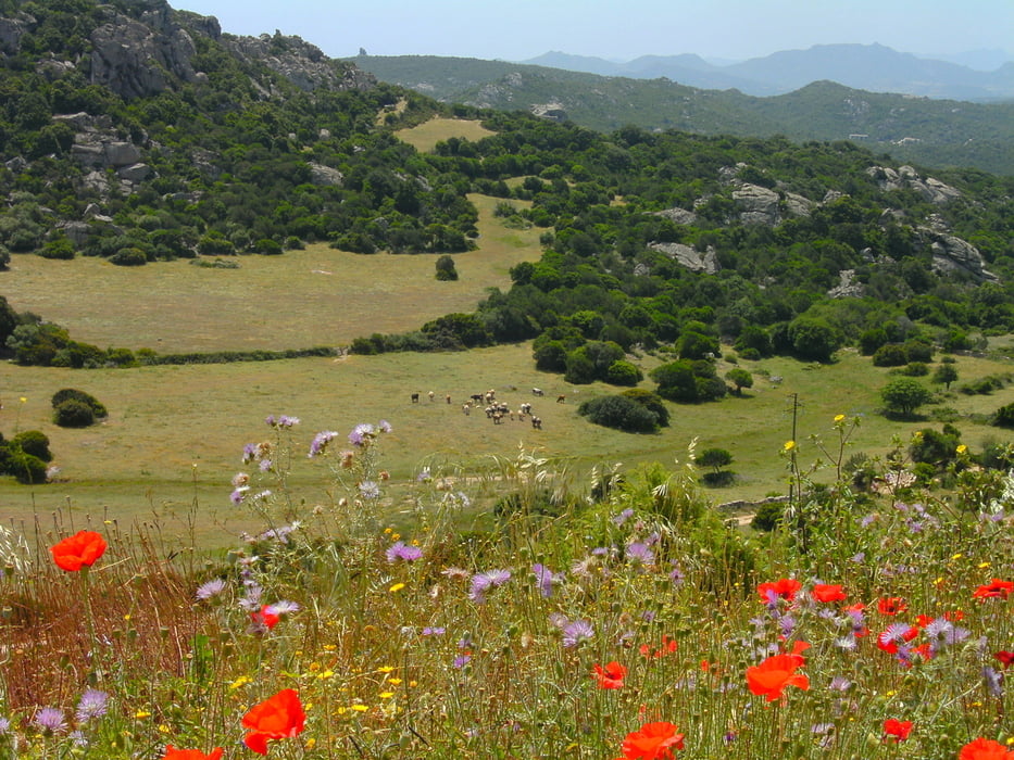 Monte Petrosu/Sardinien