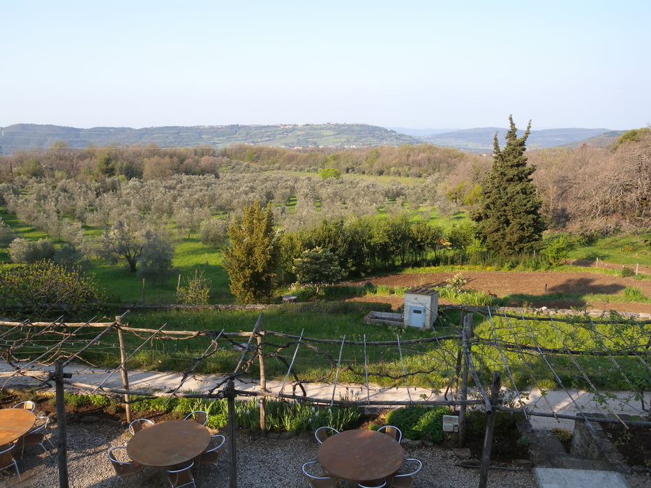 02_Bauernhof, kläffende Hunde und Massa Marittima